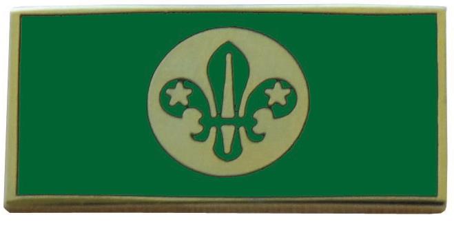 Chief Scouts Personal Award